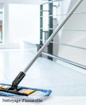 Nettoyage d'immeuble  le-teilleul-50640 Joan pro