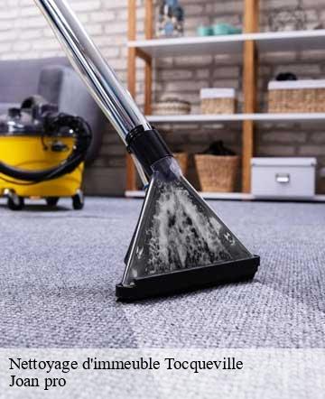 Nettoyage d'immeuble tocqueville-50330 Joan pro