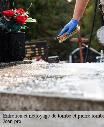 Entretien et nettoyage de tombe et pierre tombale  angoville-sur-ay-50430 Joan pro