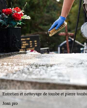 Entretien et nettoyage de tombe et pierre tombale  equeurdreville-hainneville-50120 Joan pro