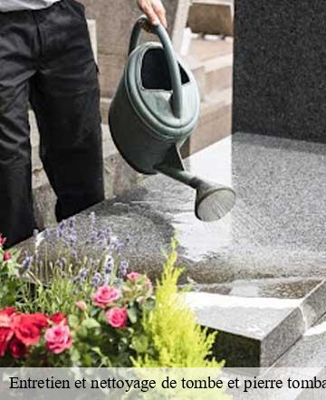 Entretien et nettoyage de tombe et pierre tombale  saint-quentin-sur-le-homme-50220 Joan pro