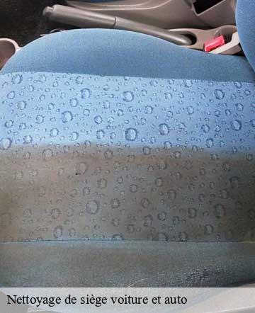 Nettoyage de siège voiture et auto champeaux-50530 Joan pro